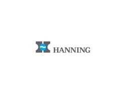 Электродвигатель Hanning O1A095-050P0020-036-001OF0-655